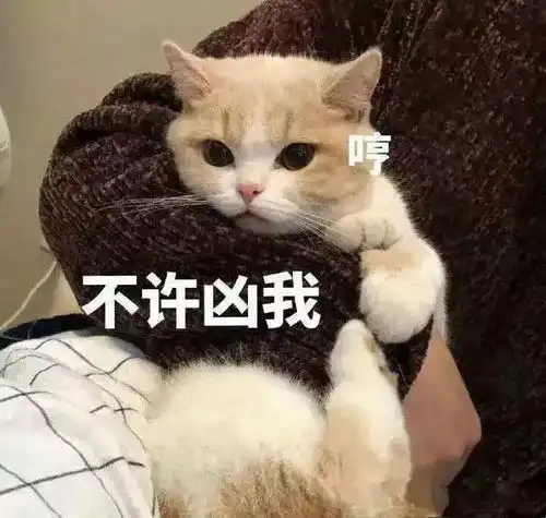 表情包我想抖落一身星光,从此长居在你心上
