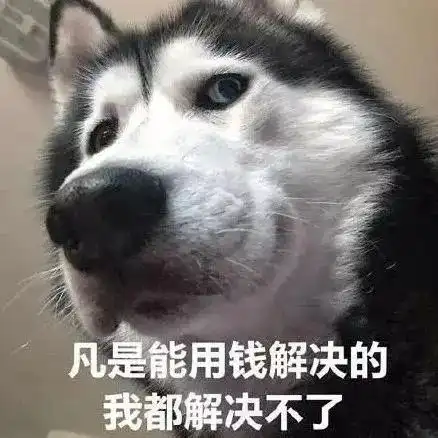 系统繁忙,请稍后再试
