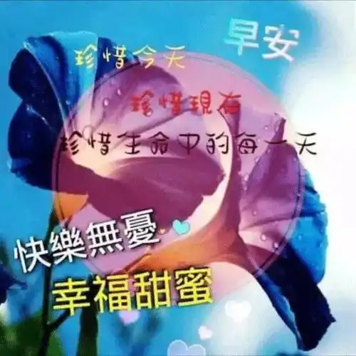 中老年表情包,感恩的心,感恩有你
