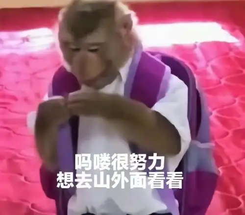 从表情包到直播,一夜之间占领了年轻人生活圈的吗喽到底是什么
