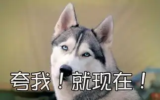 邓超逗比多年孙俪不离不弃
