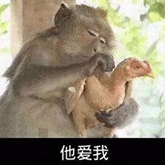 熊猫头拔毛表情包他爱我他不爱我

