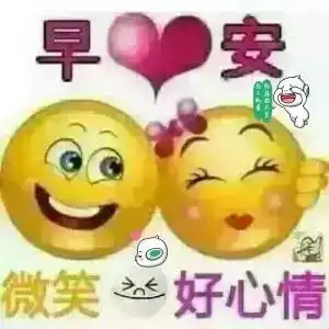 早上好祝福语动态图片带字配鲜花
