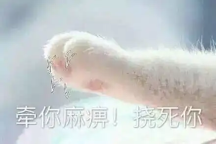 牵宝宝的手套路表情包合集牵手成功牵手失败
