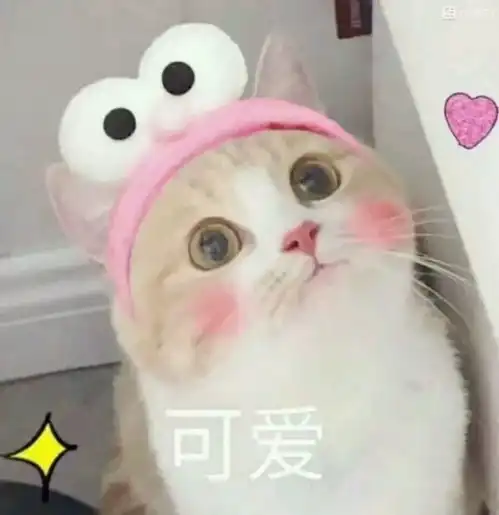 那年高考回首来时路,笑望江湖

