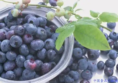 二十五种零食适当吃随香随健康
