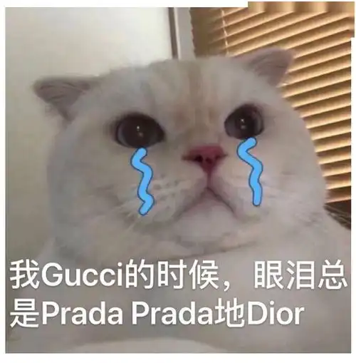 业绩暴跌,但lv香奈儿巴黎世家gucci大范围宣布涨价
