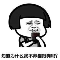 无套路不聊天整人情话表情包
