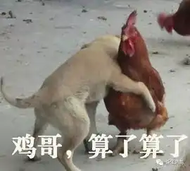 主人,请给我们留条活路100000只鸡的带血遗书
