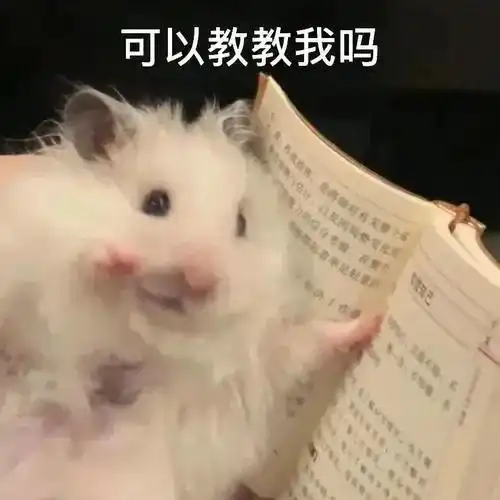 真仓鼠撩妹表情包整套萌图全是套路
