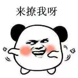 快来斗图第一弹
