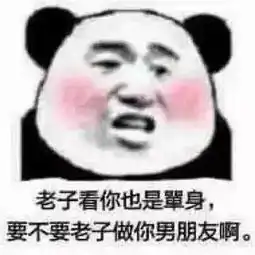 表情包来打我呀,我有医保
