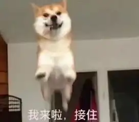 嘴凸到能耕地的她用12小时整成翻版baby,刚红就劈腿
