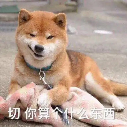 搞笑表情包旺仔小馒头的嫌弃不屑的整理我的高领毛衣
