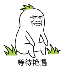 女生应聘主播被骗到底谁骗谁

