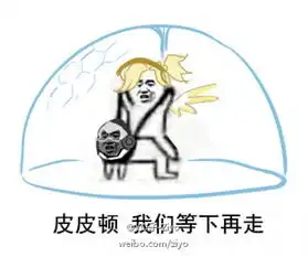 皮皮虾我们走的梗怎么突然火的皮皮虾我们走表情包
