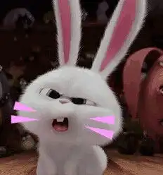 小仓鼠
