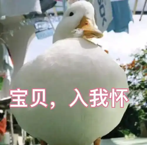 七仙女们来推文呀虐文虐文
