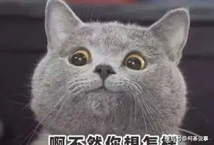 主人一天都没有找到自家蓝猫,直到掀开墙角的锅抱歉,打扰了
