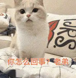 斗图必备的搞怪表情包
