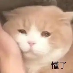 76斤的鞠婧祎手臂粗得像110斤,丸型臂水肿臂太可怕了
