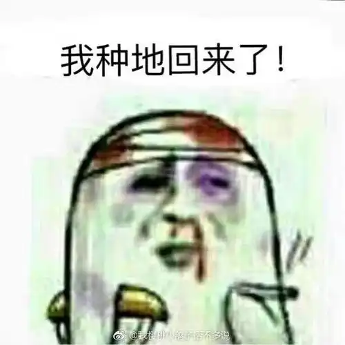 大学的专业有什么特殊表情包农学我种地回来了
