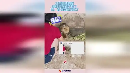 土拨鼠被捕后,表情瞬间藏不住了,鼠你卡我咯吱窝了
