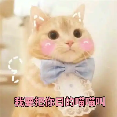 有没有突然对某人某个爱豆突然没热情的时候
