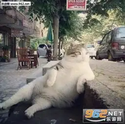 大肥猫表情图片大胖猫表情包下载乐游网游戏下载
