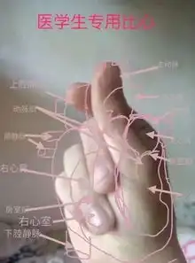 妈,我谈恋爱了,女朋友是右江民族医学院的
