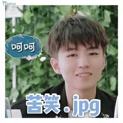 王俊凯中餐厅3表情包,沙雕属性暴露值得收藏
