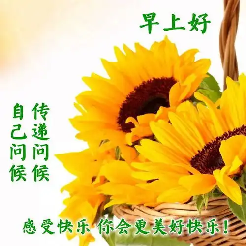 春天早上好问候祝福语带图片,早晨问候早安,唯美简短句子表情包
