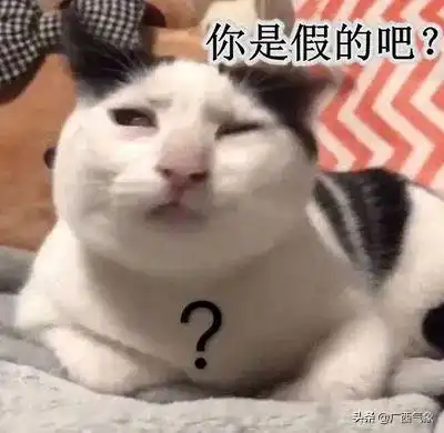 温暖持续这些地区最高气温直逼3016日桂北局部有明显降雨和强对流天气

