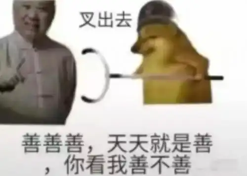 因为他善表情包大全
