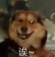 为啥狗改不了吃屎全方位解析狗狗异食癖
