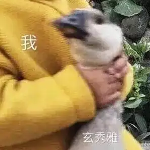 看完想马上谈恋爱少女心炸裂的高甜韩剧拯救剧荒党
