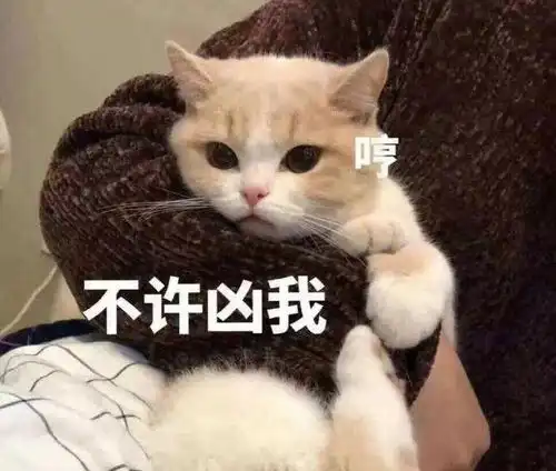 猫咪走丢后,还在用剪刀法这样做找到猫咪的几率才更大
