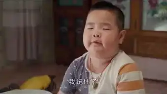 孩子你的总结能力十分强,每次只能记住一句话
