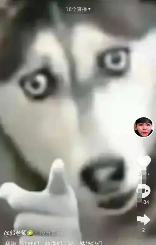 骂赵露思不配给自己下跪舔脚的郭老师道歉,还喊她妹妹,变脸太快

