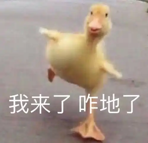 搞笑gif单身久了,为什么看啥都有一种心动的感觉
