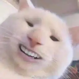 妈妈打扫卫生发现我的情趣内衣场面十分尴尬...
