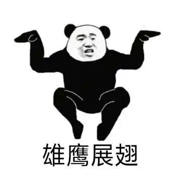 沙雕熊猫头我这么靓仔,是不会骗你的
