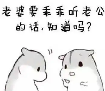 夫妻幽默段子大全爆笑2
