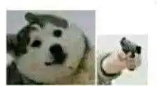 我gao得我还是挺漂亮的,嘻嘻手动滑稽
