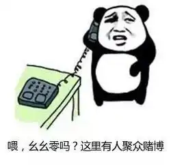 活该开赌场放高利贷拉萨6名犯罪嫌疑人被刑拘