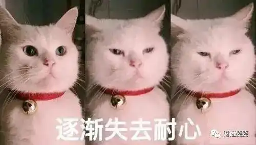 奈雪的茶,不加冰都心凉
