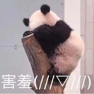 直播预告如何成为一名合格的摸鱼设计师

