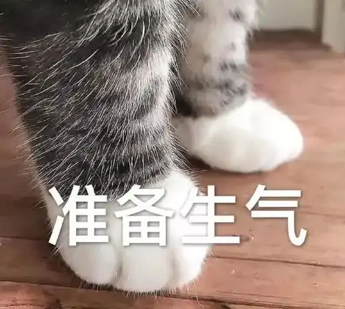 牵手表情包你这个幼稚鬼,怎么还不睡啊
