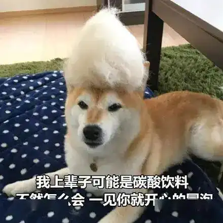 宠粉专场丨来吃一顿美食让自己满血复活吧
