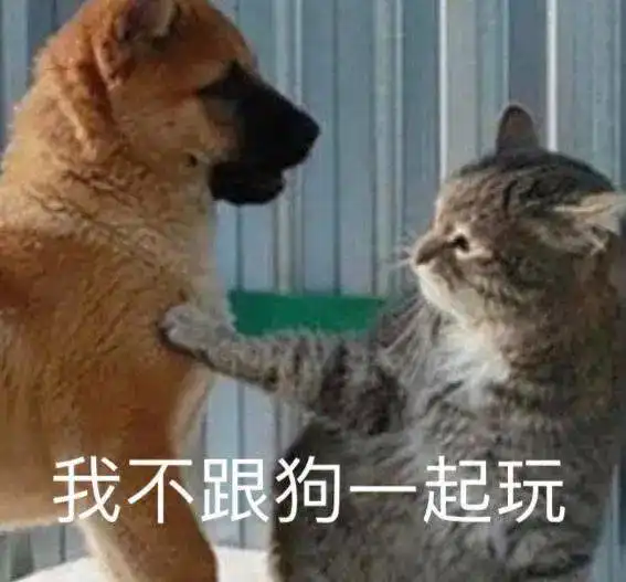 开年暴击宠物羊奶竟掺假
